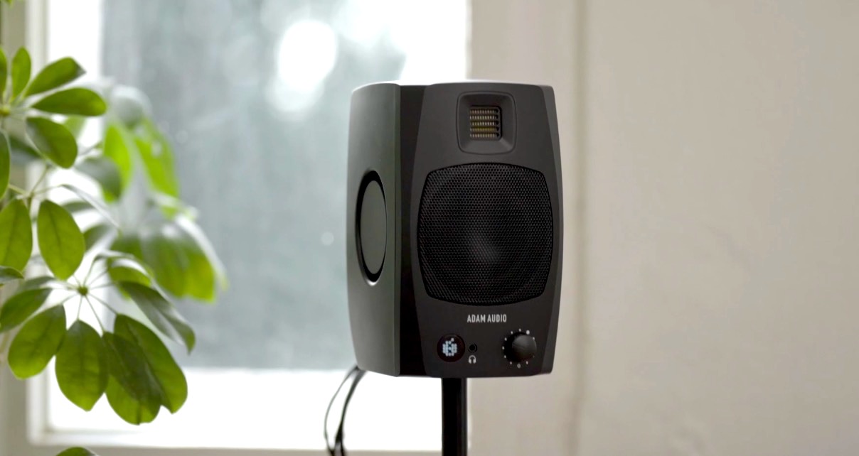 A single black D3V speaker mounted on a pole, in a warmly lit room with green plants. 
